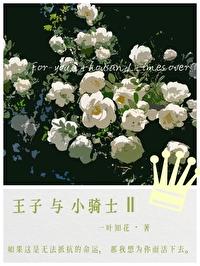 回到宋朝之帝国崛起TXT